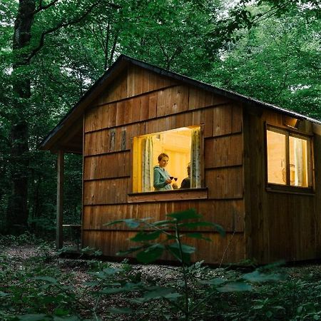 Ochys Waldfreizeitpark Villa Oberkreuzstetten Kültér fotó