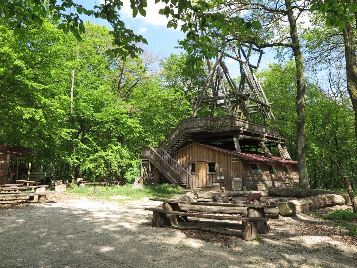 Ochys Waldfreizeitpark Villa Oberkreuzstetten Kültér fotó